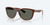 COSTA CORRIENTES TORTOISE W/ GRAY 580G COSTA-06S9124