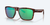 PAUNCH XL TORTOISE W/ GREEN 580G PAUNCH XL TORTOISE W/ GREEN 580G