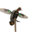 MOJO OUTDOORS MOJO ES GREEN WING TEAL 3P DECOY DUCK ELECTRONIC MOJO-HW2474-3P