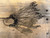 WINTER TIMBER WTO CALL DROP WTO-CALLDRP-CAMO