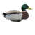 HEYDAY Heyday HydroFoam Mallard Position Pack #2 Duck Decoys - LTD500P2 HEYDAY-LTD500P2