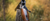 Rizzini Rizzini BR110 Light Luxe 28ga Shotgun 2rd 28" Barrel Blued/Gray/Walnut - 1102-2828 RIZZ-1102-2828