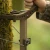 TETHRD WHOLESALE WORKHORSE CLIMBING STICKS 4 PACK TETHRD-WHCS