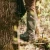 LATITUDE OUTDOORS SINGLE STEP AIDER LATIT-SINGLESTEPAID