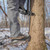 LATITUDE OUTDOORS CARBON SS CLIMBING STICKS CARBON SS CLIMBING STICKS