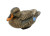 HYDROFOAM FLOCKED MALLARDS