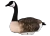 HEYDAY Heyday HydroFoam Canada Goose Decoy 4 Pack - LTD600 HEYDAY-LTD600