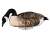 HEYDAY Heyday HydroFoam Canada Goose Decoy 4 Pack - LTD600 HEYDAY-LTD600