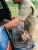 DUCK CAMP SMALL CANVAS AMMO TOTE SMALL CANVAS AMMO TOTE