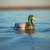 JAHPOO Jahpoo Flyway Deputy Mallard Drake Water Motion Duck Decoy JHP-FLYD01