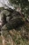 SITKA GUARD PRO PANT GUARD PRO PANT