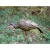 HIGDON Higdon Outdoors Hard Body Feeder Hen Turkey Decoy HIGDON-63122