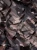 DUCK CAMP GHILLIE JACKET 2.0 DKCAMP-GJ101-303-L-XL