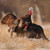 DAVE SMITH DECOYS Dave Smith Decoys 3/4 Strut Jake Turkey Decoy DVSMDCY-DE-TU-JA-3/4-ST-1