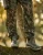 NOMAD OUTDOOR THE BA BOOT THE BA BOOT