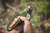EZ KUT EZ Kut Heavy Duty Ratchet Hand Pruner EZKUT-3130
