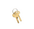LOCKDOWN TRIGGER LOCK