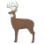 GLENDEL BUCK W/ 4 SIDED CORE