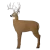 FERADYNE Glendel Targets 3D Archery Buck Target with 4-Sided Insert - Buck Size GLENDEL-G71000