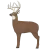 FERADYNE Glendel Targets 3D Archery Buck Target with 4-Sided Insert - Buck Size GLENDEL-G71000