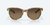 COSTA Costa Catherin Cielo Ocean Tortoise w/ Copper Gradient COSTA-20121057