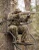 Nomad Outdoor Cottonwood VX3 Jacket in Mossy Oak Bottomland