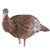 AVIAN-X Avian-X LCD (Lifelike Collapsible Decoy) Breeder Hen Decoy AVX-AVX8008