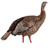 DECOYS TURKEY HDR (HEAVY DUTY REALISM) HEN AVIAN-X