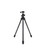 WARRIOR TRIPODS THE SCOUT TRIPOD 31IN BLACK