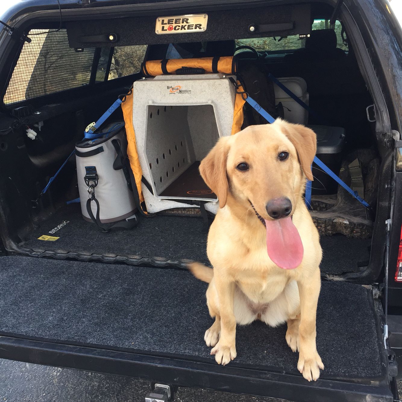 RUFF LAND DOUBLE DOOR INSULATED KENNEL COVER Winter Timber Outdoors