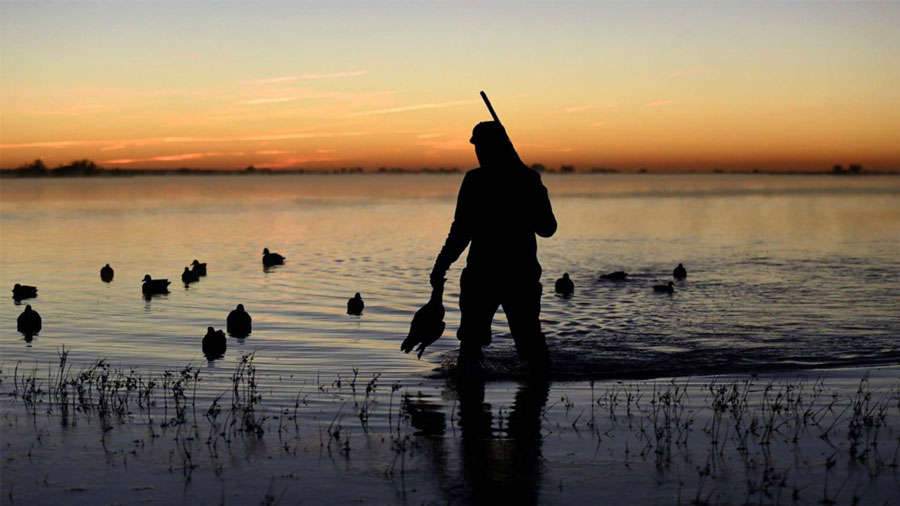 The Top Southeastern States to Duck Hunt Winter Timber Outdoors