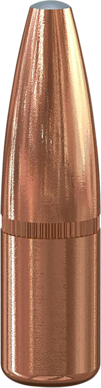 Speer Ammo Grand Slam, Speer 2063      Bull .308 180 Grandslam       50/5