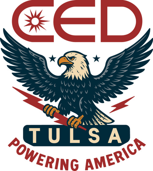 CED Patriotic City Eagle Vintage Back Print