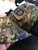 CED Mossy Oak Camo Tattered Patch Hat