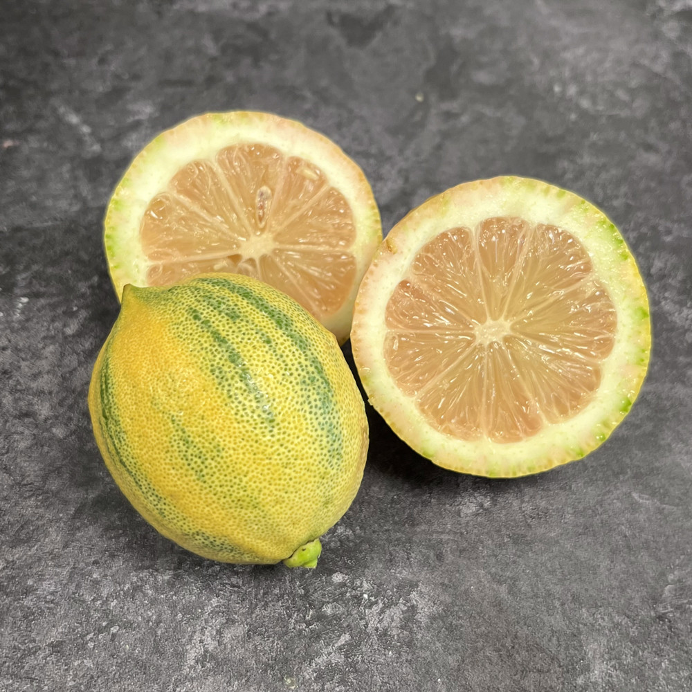 LemonTiger (1kg) - Wellocks Online Ordering