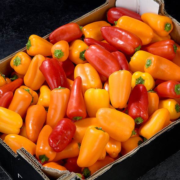 Pepper Mini Sweetbite Rainbow (4kg)