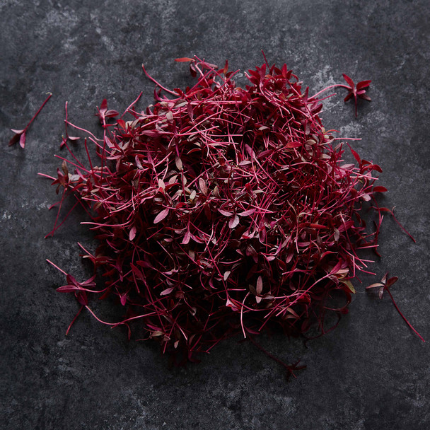 Micro Herb Red Amaranth (25g)