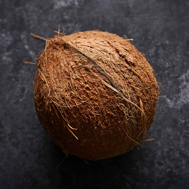 Coconut (1 Item)