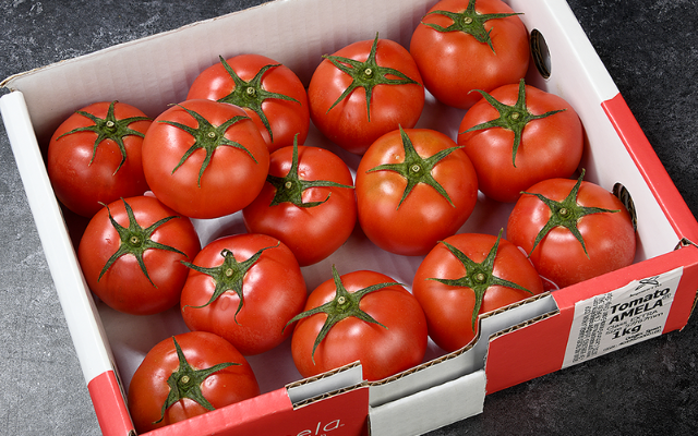 AMELA TOMATOES AMELA TOMATOES