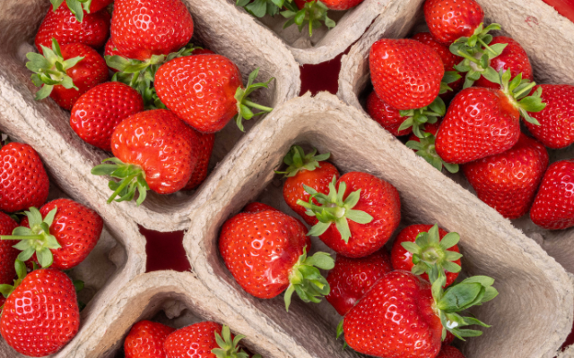 THE IMPACT OF CLIMATE CHANGE ON THE UK FOOD SYSTEM: NAVIGATING THE NEW SEASONS THE IMPACT OF CLIMATE CHANGE ON THE UK FOOD SYSTEM: NAVIGATING THE NEW SEASONS