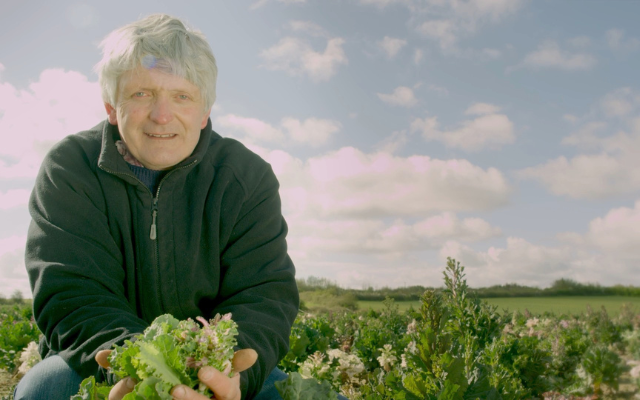 Molyneux Kale Company