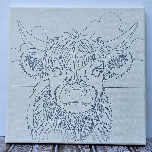 Highland Cow