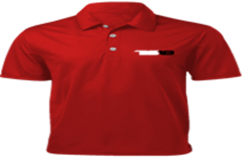 DS18 POLO SHIRT