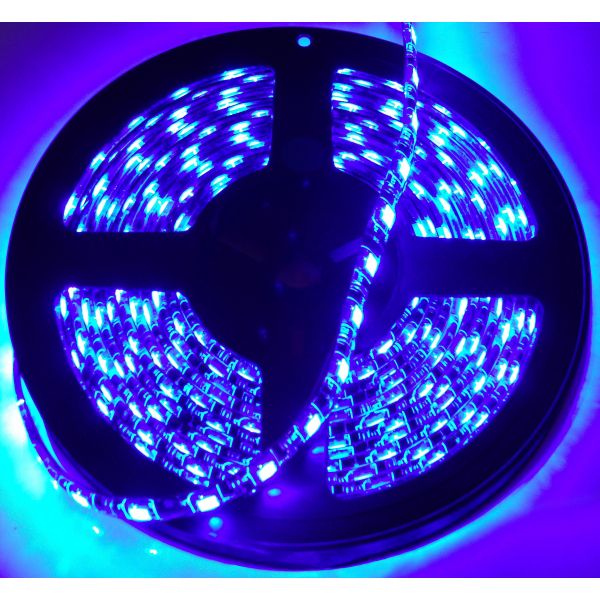 RACESPORT 16' 5050 LED STRIP - BLUE