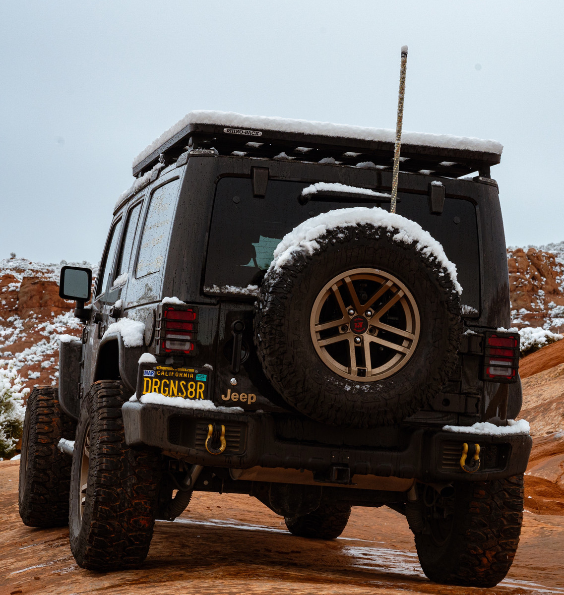 STINGER 4 Foot Dynamic RGB Whip Light