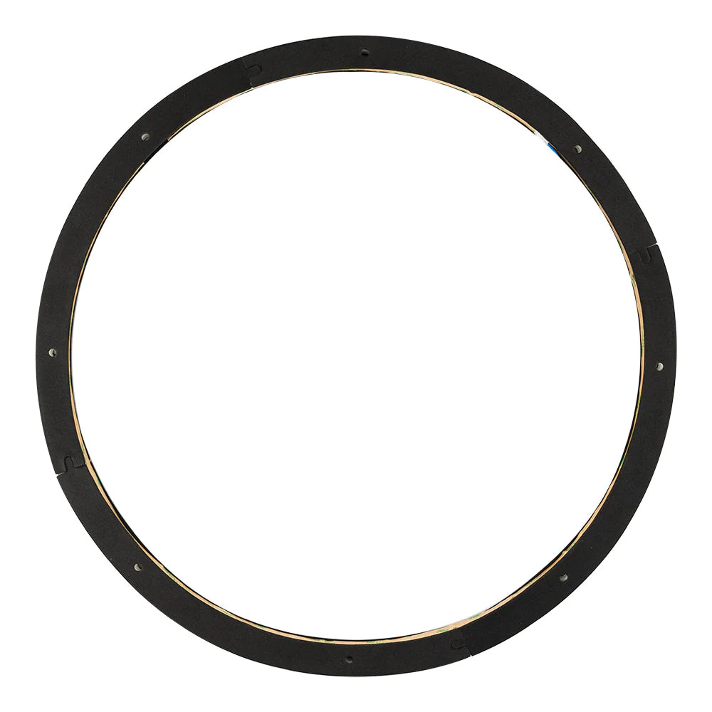 DS18 LRING15 15" RGB LED Ring for Speaker and Subwoofers