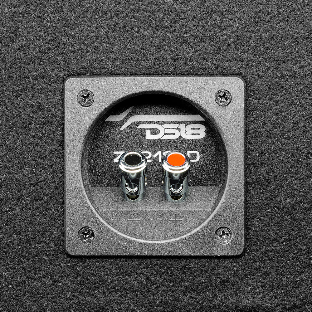 DS18 ZR212LD Bass Package 2 x ZR12.4D 12" Subwoofers In a Ported Box 3200 Watts