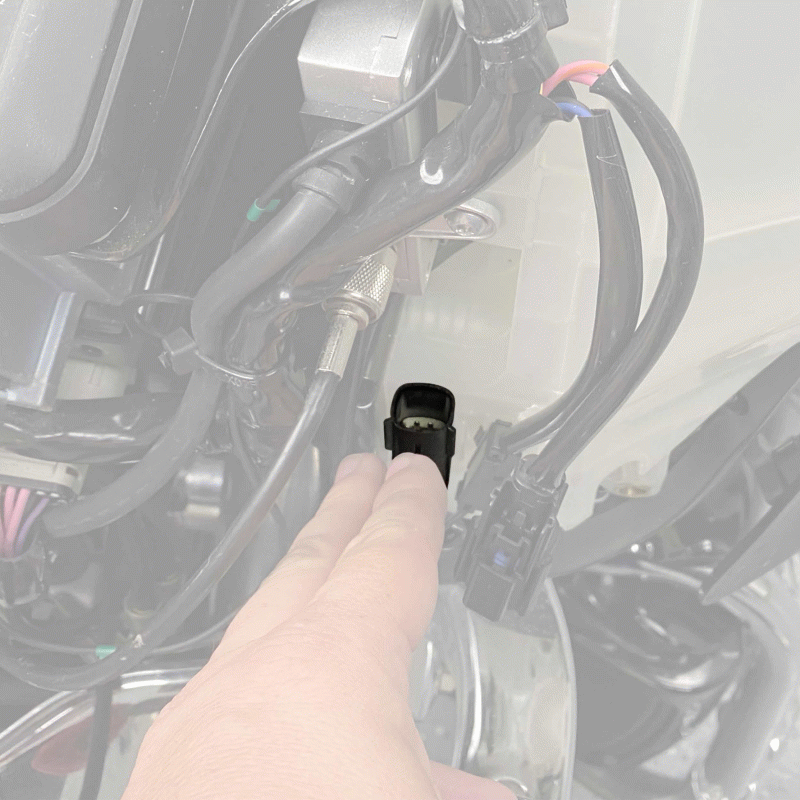 HARLEY DAVIDSON SPEAKER PLUG ADAPTERS