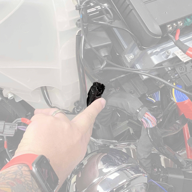 HARLEY DAVIDSON SPEAKER PLUG ADAPTERS