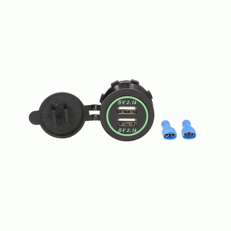 DUAL USB 4.2A GREEN LED